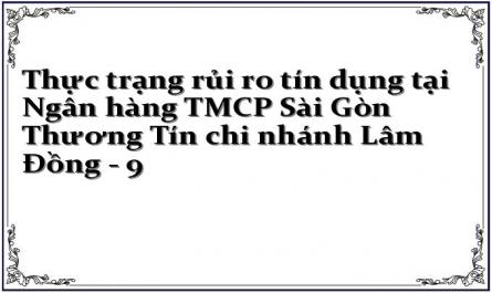 Thực trạng rủi ro tín dụng tại Ngân hàng TMCP Sài Gòn Thương Tín chi nhánh Lâm Đồng - 9