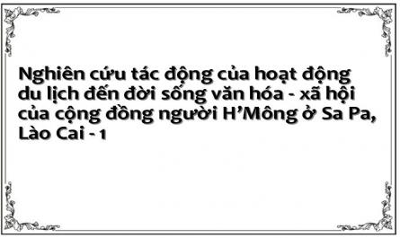 Nghiên cứu tác động của hoạt động du lịch đến đời sống văn hóa - xã hội của cộng đồng người H’Mông ở Sa Pa, Lào Cai - 1