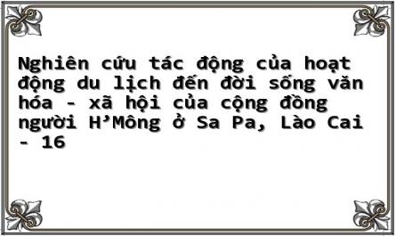 Nghiên cứu tác động của hoạt động du lịch đến đời sống văn hóa - xã hội của cộng đồng người H’Mông ở Sa Pa, Lào Cai - 16