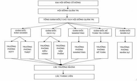 Cơ Cấu Tổ Chức Của Công Ty Cp Ttqc & Dvdl Đại Bàng