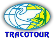 Hình ảnh quả địa cầu tượng trưng cho Thế giới với đường uốn ở giữa 2