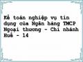 Kế toán nghiệp vụ tín dụng của Ngân hàng TMCP Ngoại thương - Chi nhánh Huế - 14