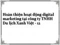 Hoàn thiện hoạt động digital marketing tại công ty TNHH Du lịch Xanh Việt - 12