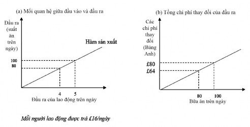 Hình 7 1 Mối quan hệ chi phí đầu ra tỷ lệ Trong Hình 7 1 đầu vào lao động 2