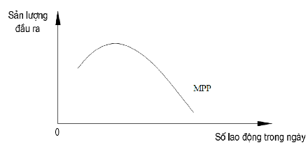 Hình 6 3 Năng suất lao động cận biên tính bằng đơn vị sản phẩm Sản lượng 1