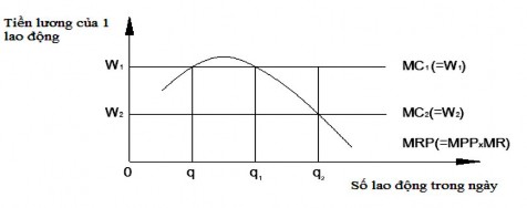 Hình 6 4 Mức tối đa hoá lợi nhuận từ lao động Tại điểm mức lương 0W 2 2