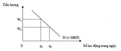 Hình 6 5 Đường cầu lao động Nếu mức lương là 0W 1 thì điều kiện để tối 3