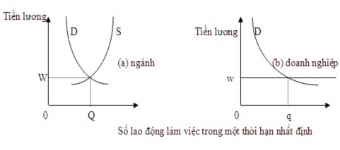 Hình 6 6 Mức lương trên thị trường lao động cạnh tranh hoàn hảo Trong toàn 1