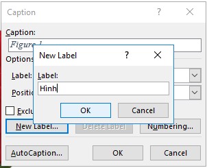Hình 1 32 – Chèn Label mới Nhập tên cho nhãn vừa thêm Ok Chọn Numbering 1