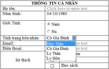 Hình 1 59 – Bảng thông tin cá nhân mẫu Word cho phép chúng ta thiết kế các control 8