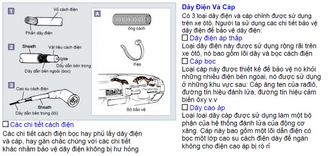 3 2 Các chi tiết nối 3 2 1 Hộp nối và hộp rơ le 3 2 2 Các giắc nối 3 3 Các chi 12