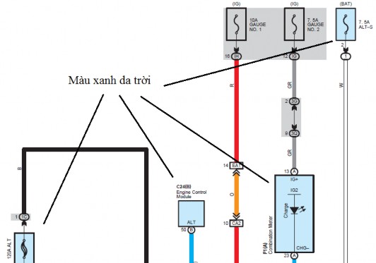 Hình 4 7 Cách thể hiện các bộ phận trong EWD C8 thể hiện mã giắc nối và chữ 16