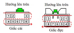 Hình 4 10 Cách đọc số chân vị trí chân trong giắc nối Cần lưu ý điều này 19