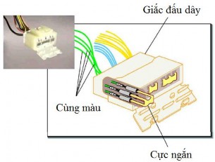 Hình 4 13 Cấu tạo của giắc đấu dây Hộp đầu nối và hộp rơ le Hộp đầu 2