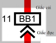 Hình 4 20 Ký hiệu chân cắm của giắc nối dây dẫn Các điểm chia và điểm nối 9