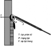 Khi hàn đứng giáp mối góc độ que hàn tính theo bên phải bên trái là 90 0 Bởi 2