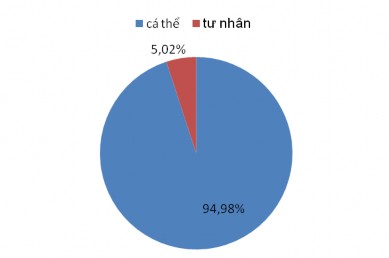 Biểu đồ 1 Cơ cấu theo loại hình cơ sở kinh doanh dịch vụ lưu trú 2015 Nguồn 1