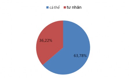 Biểu đồ 4 Tỷ trọng doanh thu dịch vụ lưu trú theo thành phần kinh tế 2015 2