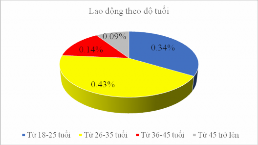 Biểu đồ 2 2 Lực lượng lao động theo độ tuổi Nhìn vào biểu đồ ta thấy 4