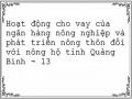 Hoạt động cho vay của ngân hàng nông nghiệp và phát triển nông thôn đối với nông hộ tỉnh Quảng Bình - 13