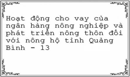 Hoạt động cho vay của ngân hàng nông nghiệp và phát triển nông thôn đối với nông hộ tỉnh Quảng Bình - 13