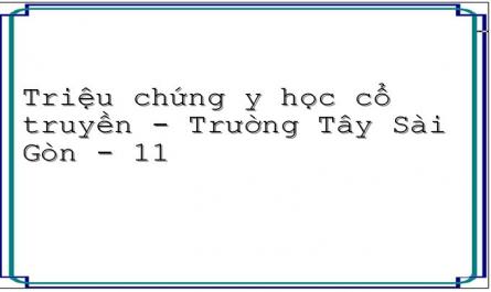 Phong Thủy Tác Động Lẫn Nhau Tại Phế: