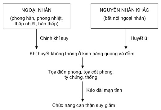 Sơ đồ nguyên nhân và cơ chế bệnh đau thần kinh tọa III Thể bệnh Y học cổ 1