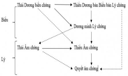 Tuần Kinh (Truyền Kinh): Đay Là Kiểu Thông Thường Nhất