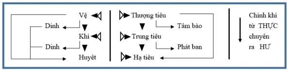 Trong ôn bệnh cũng có kiêm chứng nghĩa là cùng lúc xảy ra hai ba bệnh cảnh như 2