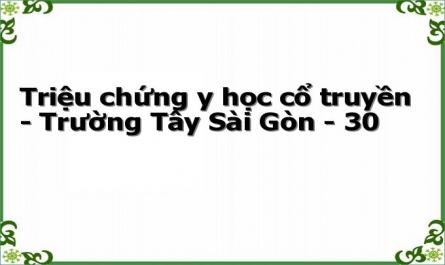 Triệu chứng y học cổ truyền - Trường Tây Sài Gòn - 30