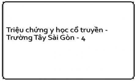 Triệu chứng y học cổ truyền - Trường Tây Sài Gòn - 4