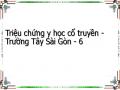 Triệu chứng y học cổ truyền - Trường Tây Sài Gòn - 6