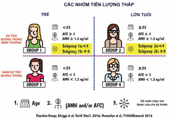 Hình 1 3 Phân nhóm đáp ứng kém theo Posseidon 71 Tuy nhiên sự đồng thuận ESHRE 2