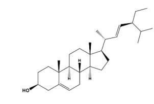 Apigenin Apigenin có khả năng chống viêm chống oxy hóa và ngăn ngừa ung thư 1