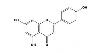Betulinic acid Betulinic acid là một chất được tìm thấy phổ biến ở thực vật 2