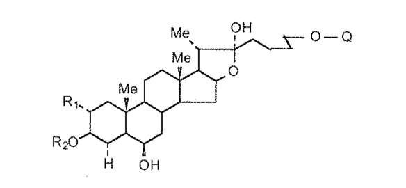 I Q gluc 1 H OH 2 gal 1 4 glc 1 3 glc gal 1 4 glc 1 3 gal 1 3 gluc 1 2 glc glc glucozyl gal 1