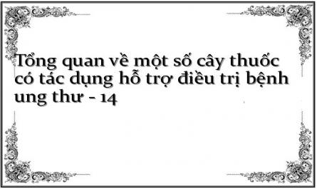 Thời Điểm Thu Hái, Chế Biến Dược Liệu, Vị Thuốc