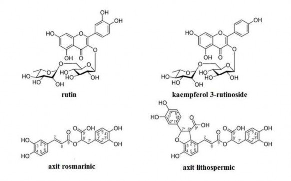 Các sesquiterpene và triterpene Từ thân cây loài Celastrus hindsii Benth Hui Chi HUANG cùng 2
