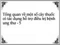 Cây Thuốc Hỗ Trợ Điều Trị Bệnh Ung Thư Dạ Dày