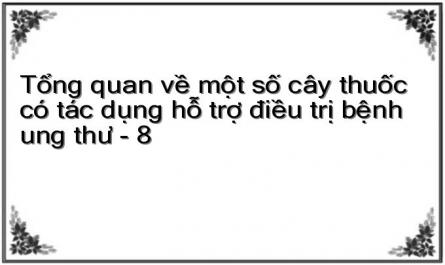 Kết Quả Một Số Thử Nghiệm Curcumin Ở Các Tế Bào Ung Thư Dạ Dày