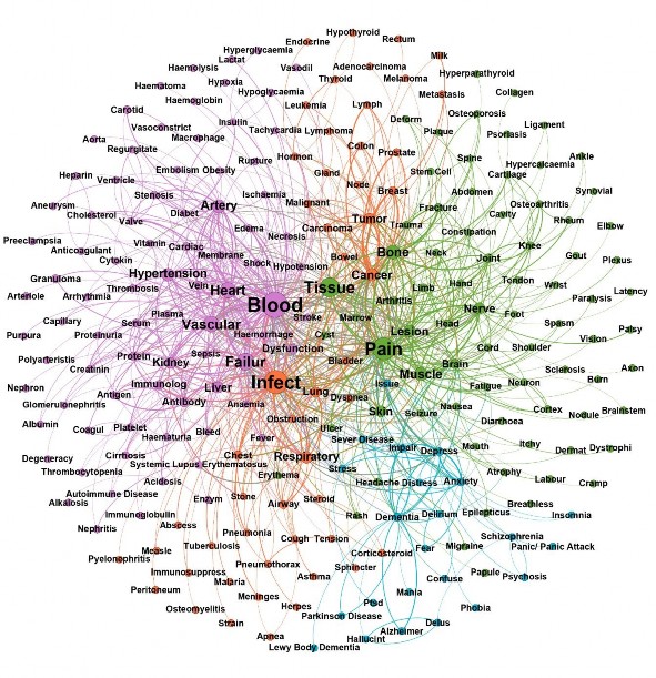 Hình 3 3 Mạng tương tác Y học dưới góc nhìn toàn cảnh của tập dữ liệu Nội 3