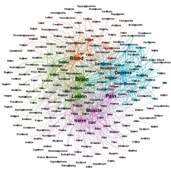 Hình 3 4 Mạng tương tác Y học dưới góc nhìn toàn cảnh của tập dữ liệu 1