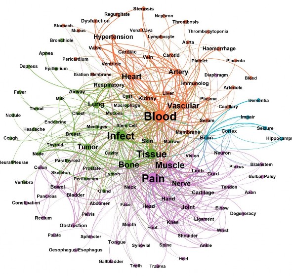 Hình 3 5 Mạng tương tác Triệu chứng và Cơ quan của tập dữ liệu gốc Mạng 2