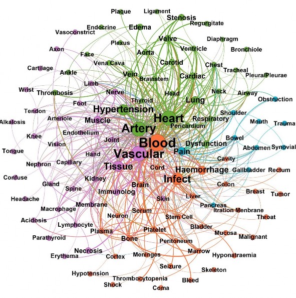 Hình 3 6 Mạng tương tác Triệu chứng và Cơ quan của tập dữ liệu Tim mạch 3
