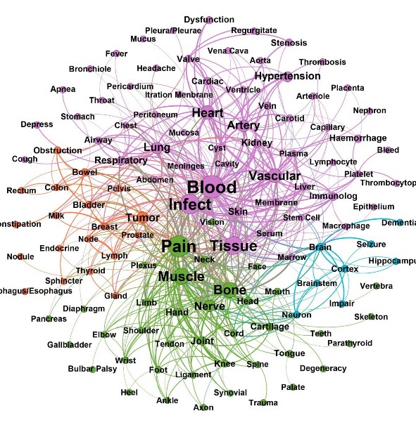 Hình 3 7 Mạng tương tác Triệu chứng và Cơ quan của tập dữ liệu Nội tiết 4