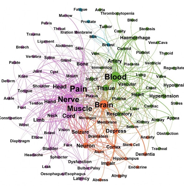 Hình 3 8 Mạng tương tác Triệu chứng và Cơ quan của tập dữ liệu Thần kinh 1