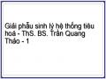 Giải phẫu sinh lý hệ thống tiêu hoá - ThS. BS. Trần Quang Thảo - 1