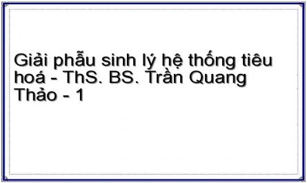 Giải phẫu sinh lý hệ thống tiêu hoá - ThS. BS. Trần Quang Thảo - 1