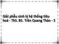 Giải phẫu sinh lý hệ thống tiêu hoá - ThS. BS. Trần Quang Thảo - 5