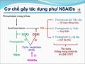 Giải phẫu sinh lý hệ thống tiêu hoá - ThS. BS. Trần Quang Thảo - 7
